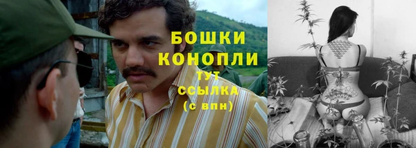 кокс Белокуриха