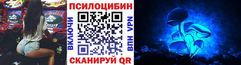 Псилоцибиновые грибы Psilocybine cubensis  Тайшет 